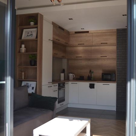 Apartment Sosnowiec City - Free Parking - Easy Check-In ภายนอก รูปภาพ