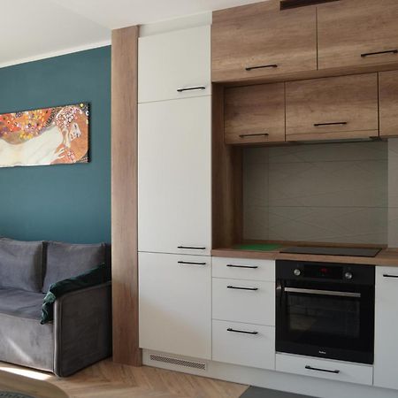 Apartment Sosnowiec City - Free Parking - Easy Check-In ภายนอก รูปภาพ